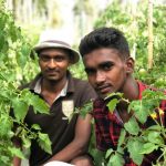 Breaking the Mold: Sri Lanka’s Youth Leading the Way in Sustainable Agriculture